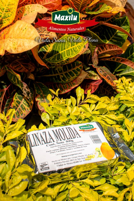 Linaza Molida